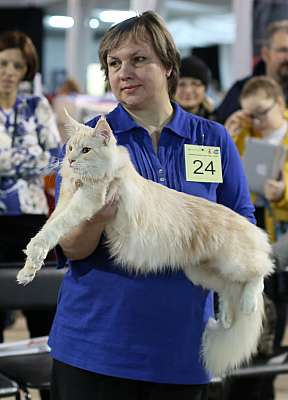 �������� ����� 22-23 ������ 2014, ������������ ��� �������� ����� 22-23 ������ 2014  ������������ ��� 169A9053 copy.jpg